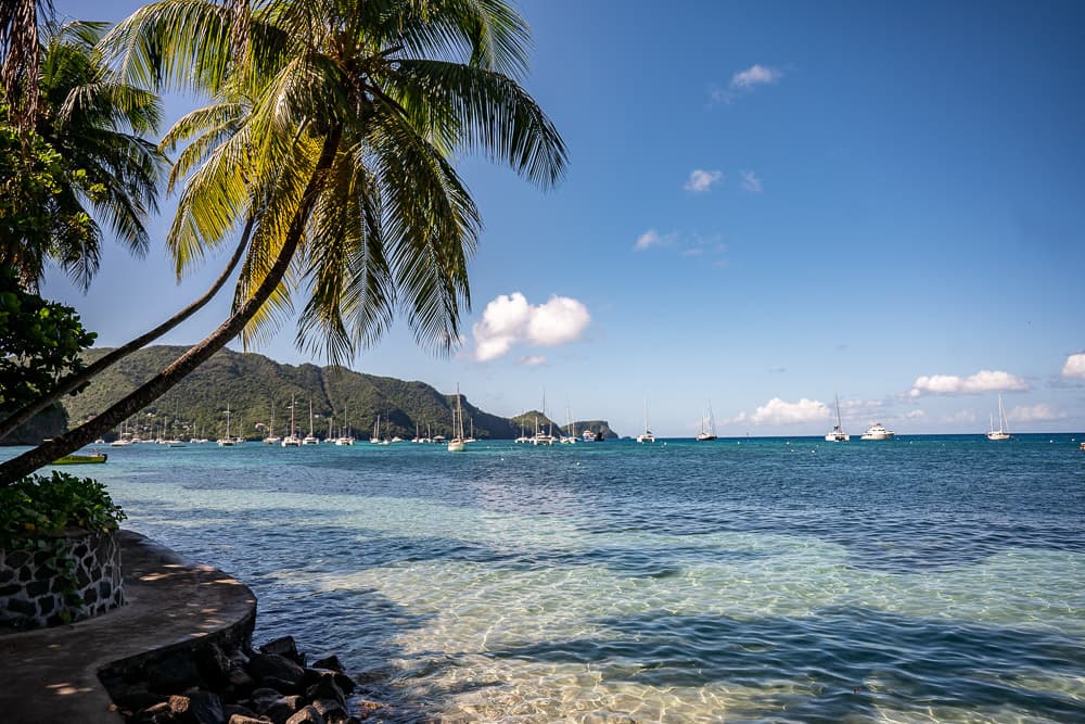 Palmen in der Karibik - mitsegeln von Martinique nach Guadeloupe – Karibik 2027