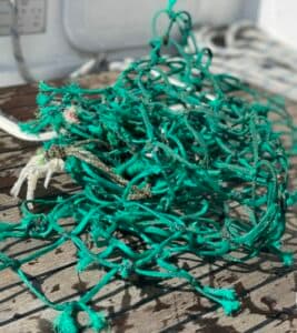 Newsletter 03/23 – Foto aus dem Logbuch