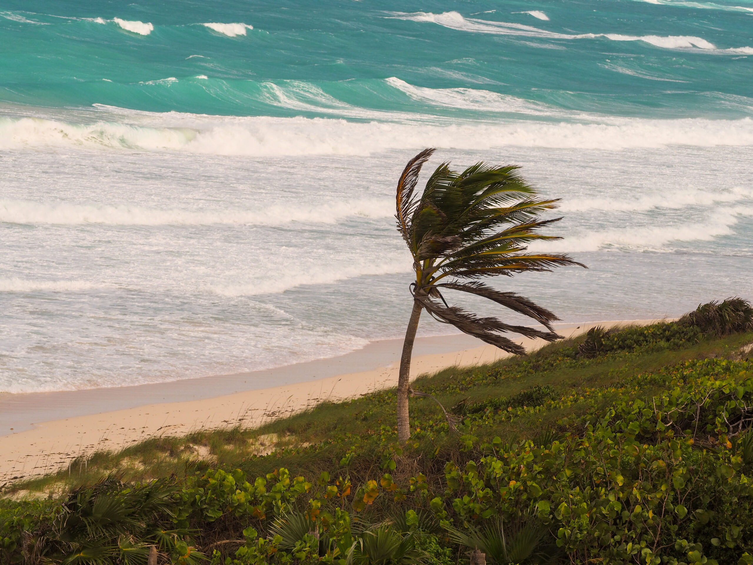 Törn Nr. 7: Barbados – Martinique