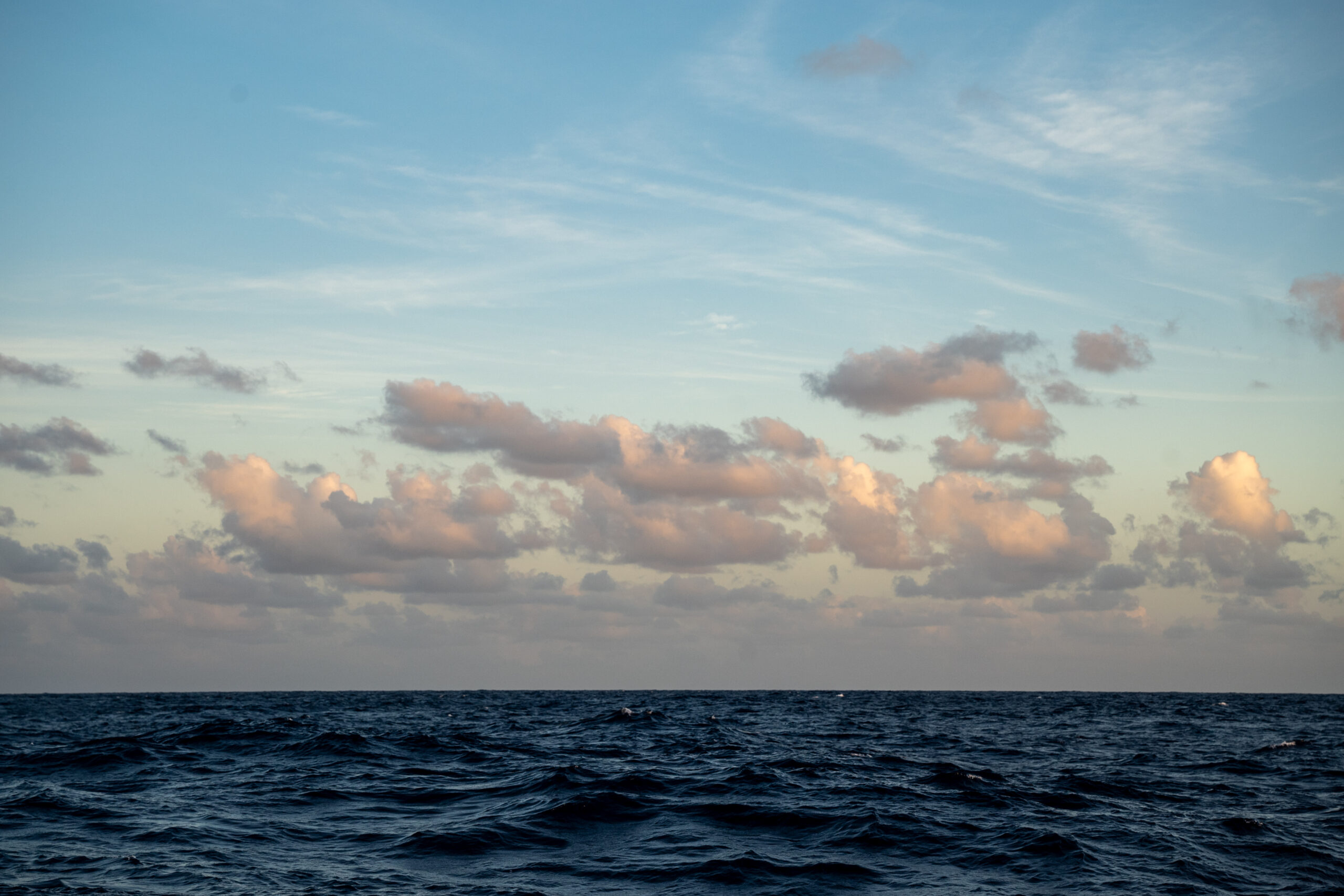 Törn Nr. 16: Mindelo, Kap Verde nach Martinique via Barbados