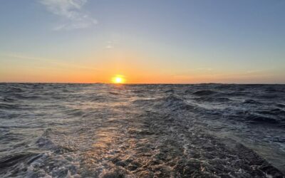 Newsletter 03/23